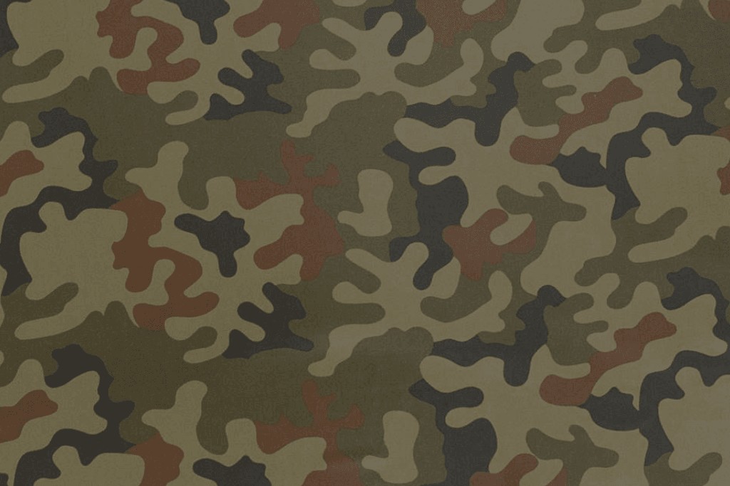 Kamuflaże Wojska Polskiego